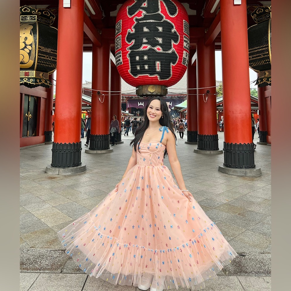 Lirika Matoshi Pink Sky Midi Dress